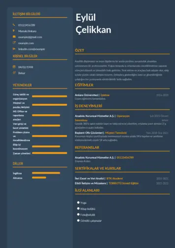  cv indir